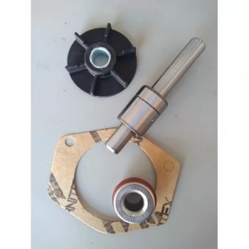 REPARO BOMBA DAGUA MOTOR PERKINS 3152